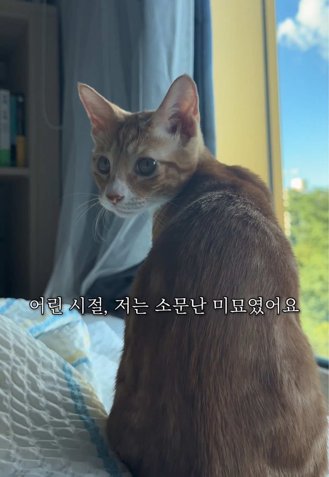@뮤춘삼