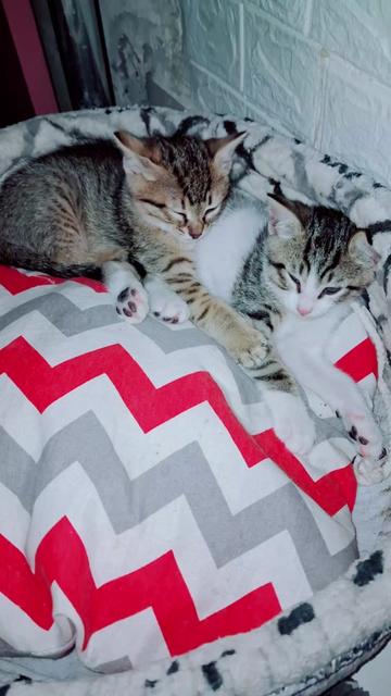 @🇹🇷😻PABLO🇹🇷😻