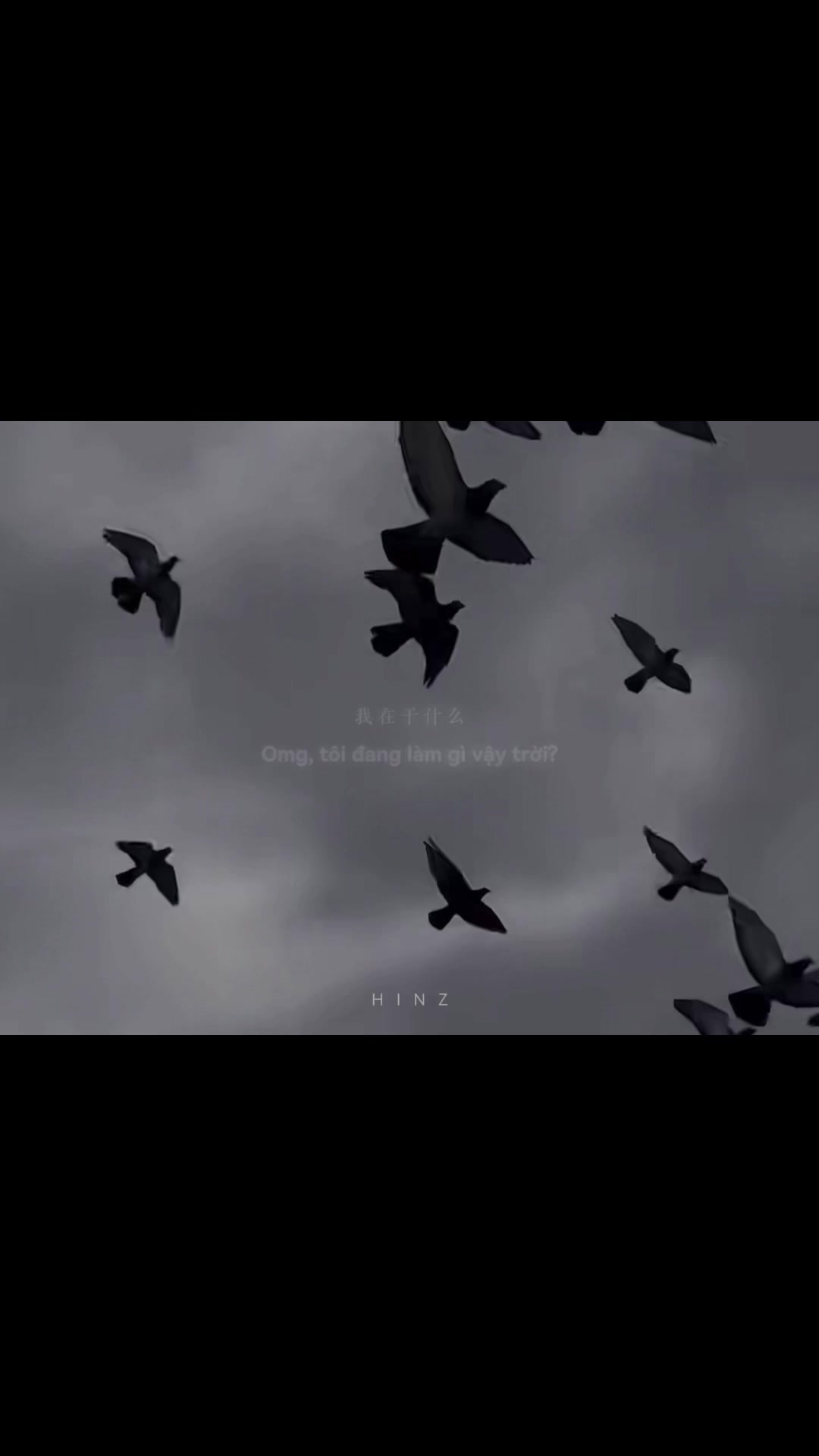 @𝙃𝙞𝙣𝙯