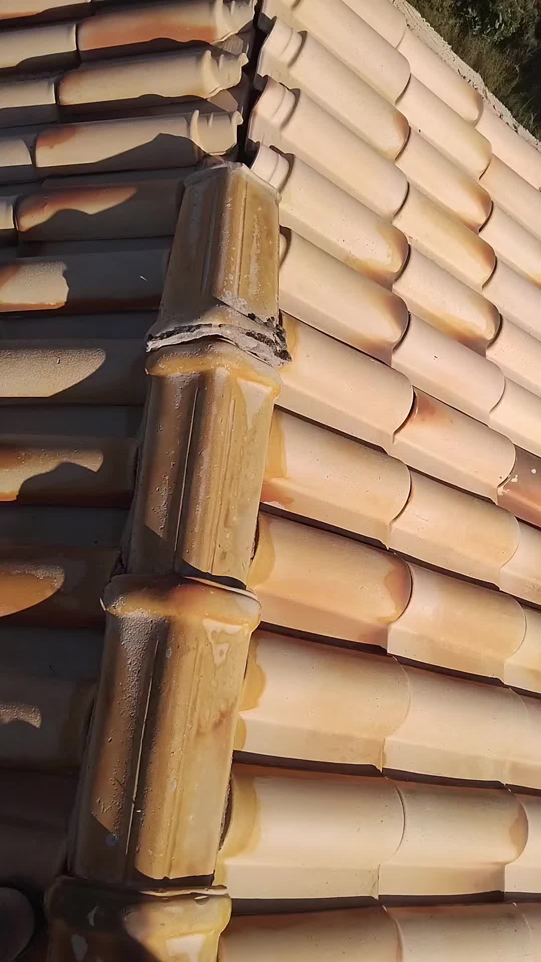 @Paulo Victor