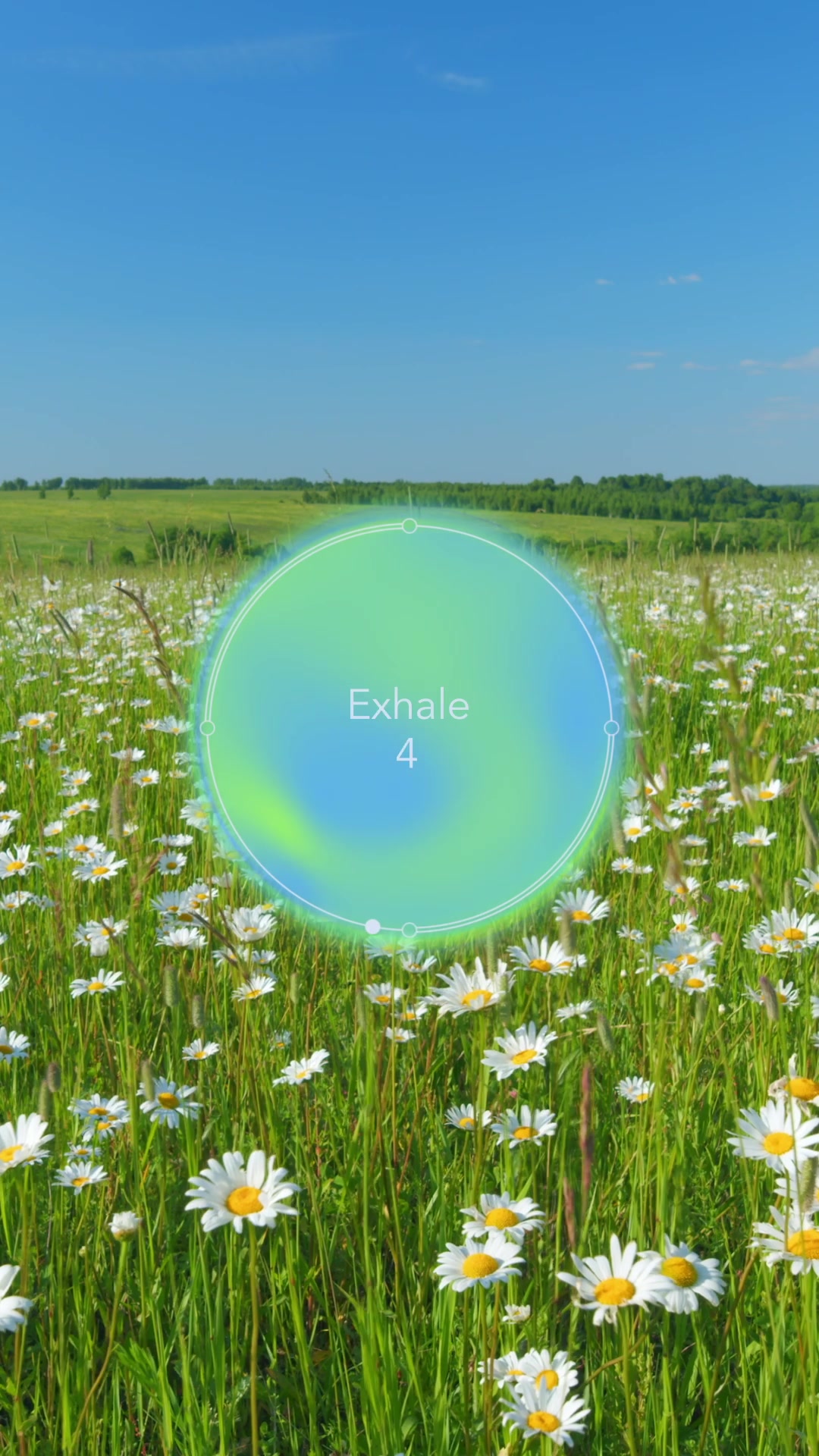 @Calm