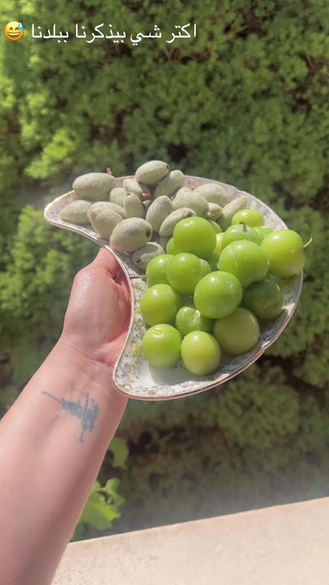 @ياسمين احمر