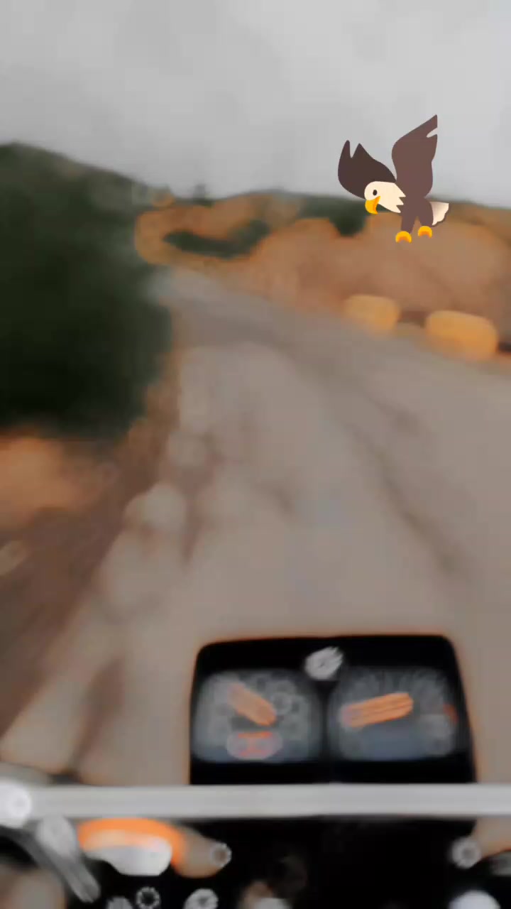 @💞💗🇦 🇰  🇧 🇦 🇧 🇦 🇷💗 💞