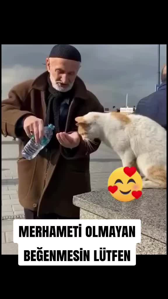 @MUSTAFA38