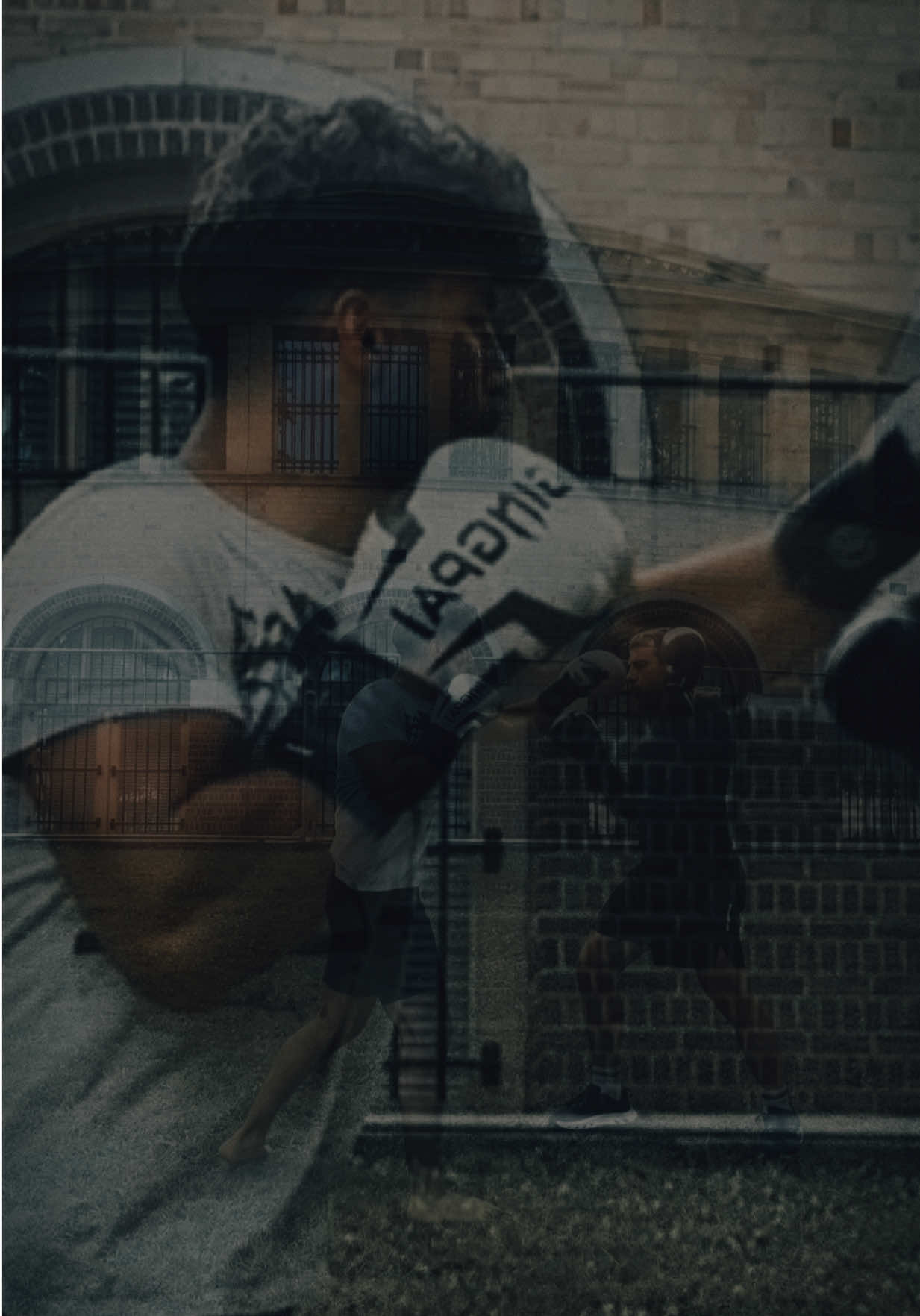 @𝑻𝑰𝑮𝑬𝑹✵𝒁𝑬𝑵𝑶 ✪