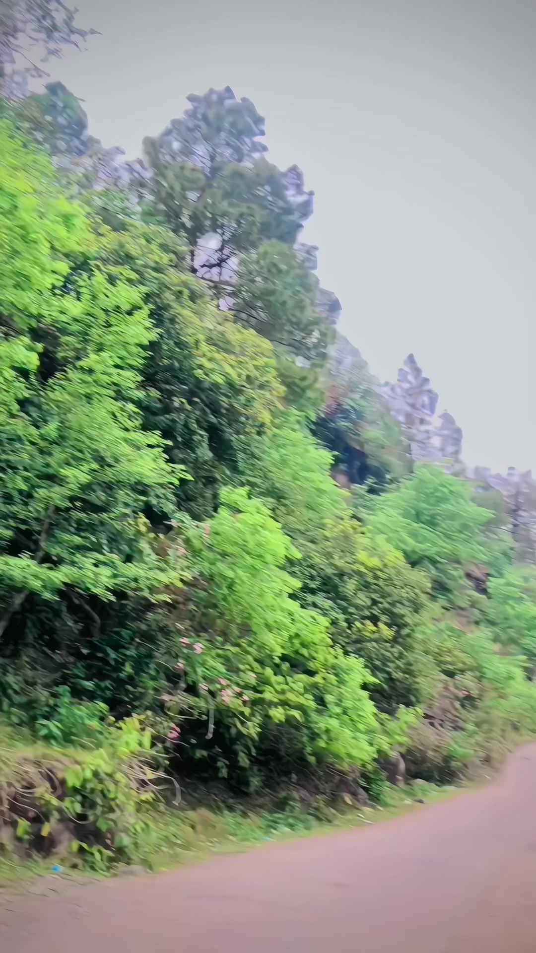 @افراز سردار