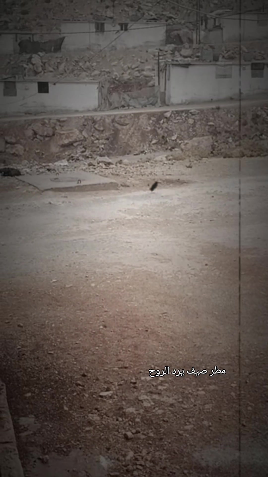@زيبق السوري