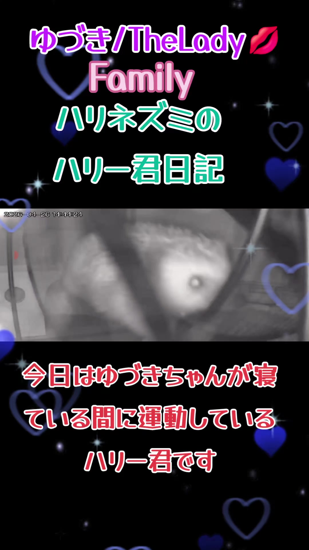 @🐼🌙草真💋🐼