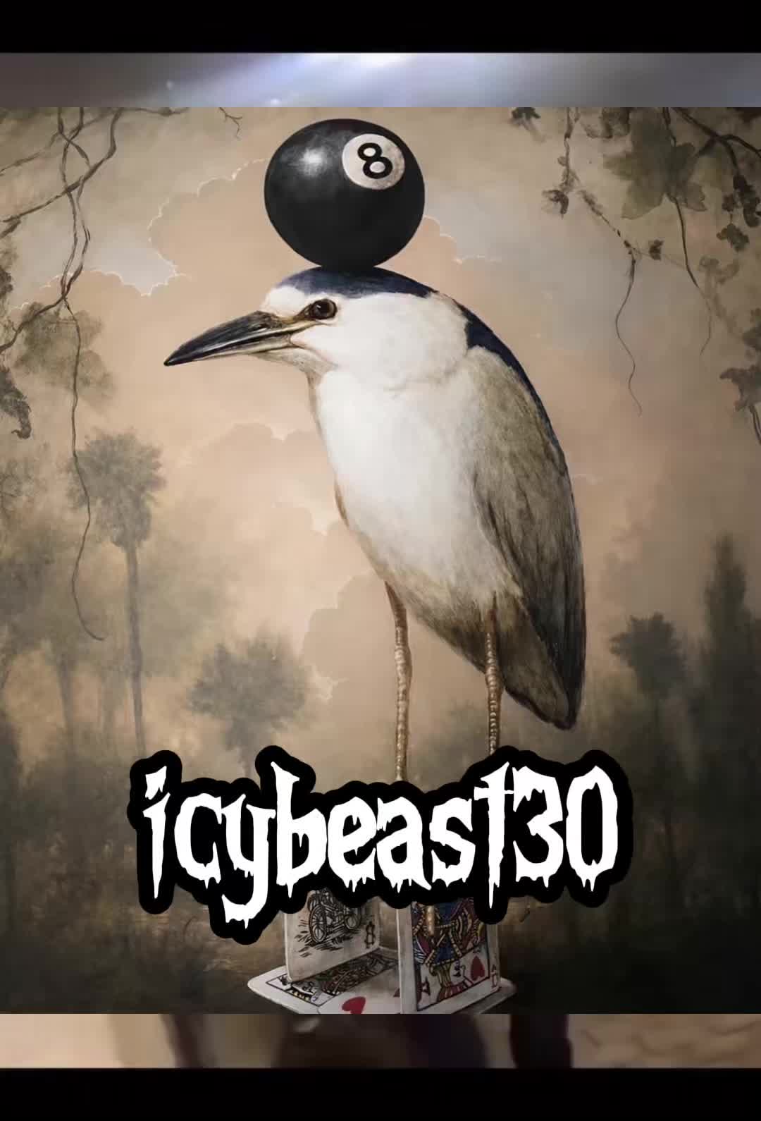 @icy