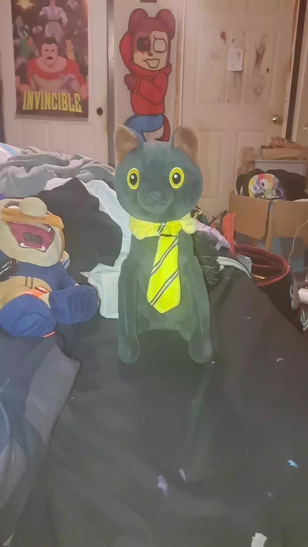 @sirmeowsalot HAVER 🐈⬛👔