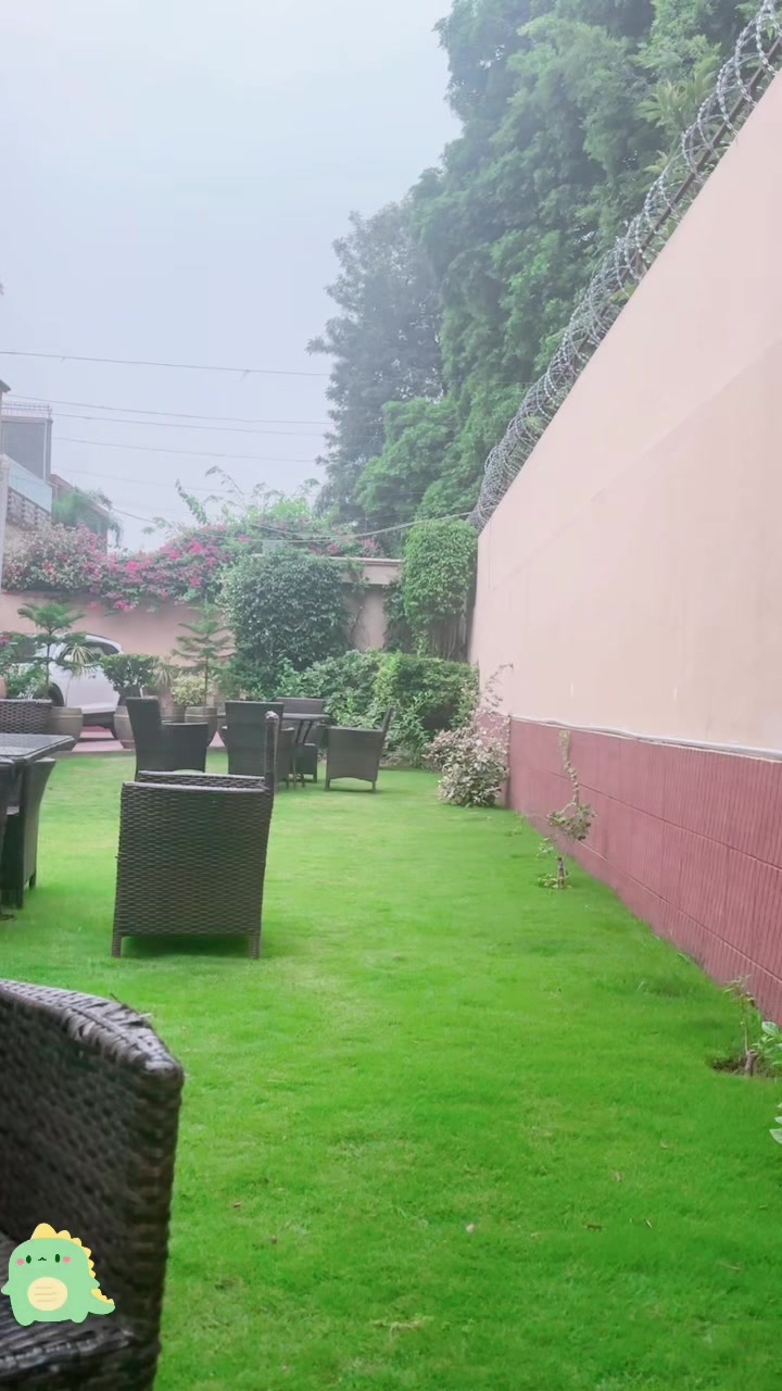 @Ayla.khan