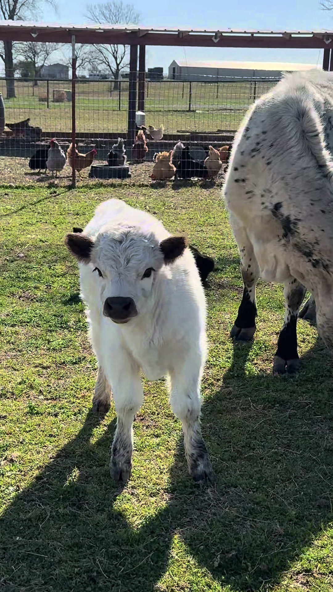 @masoncreekranch