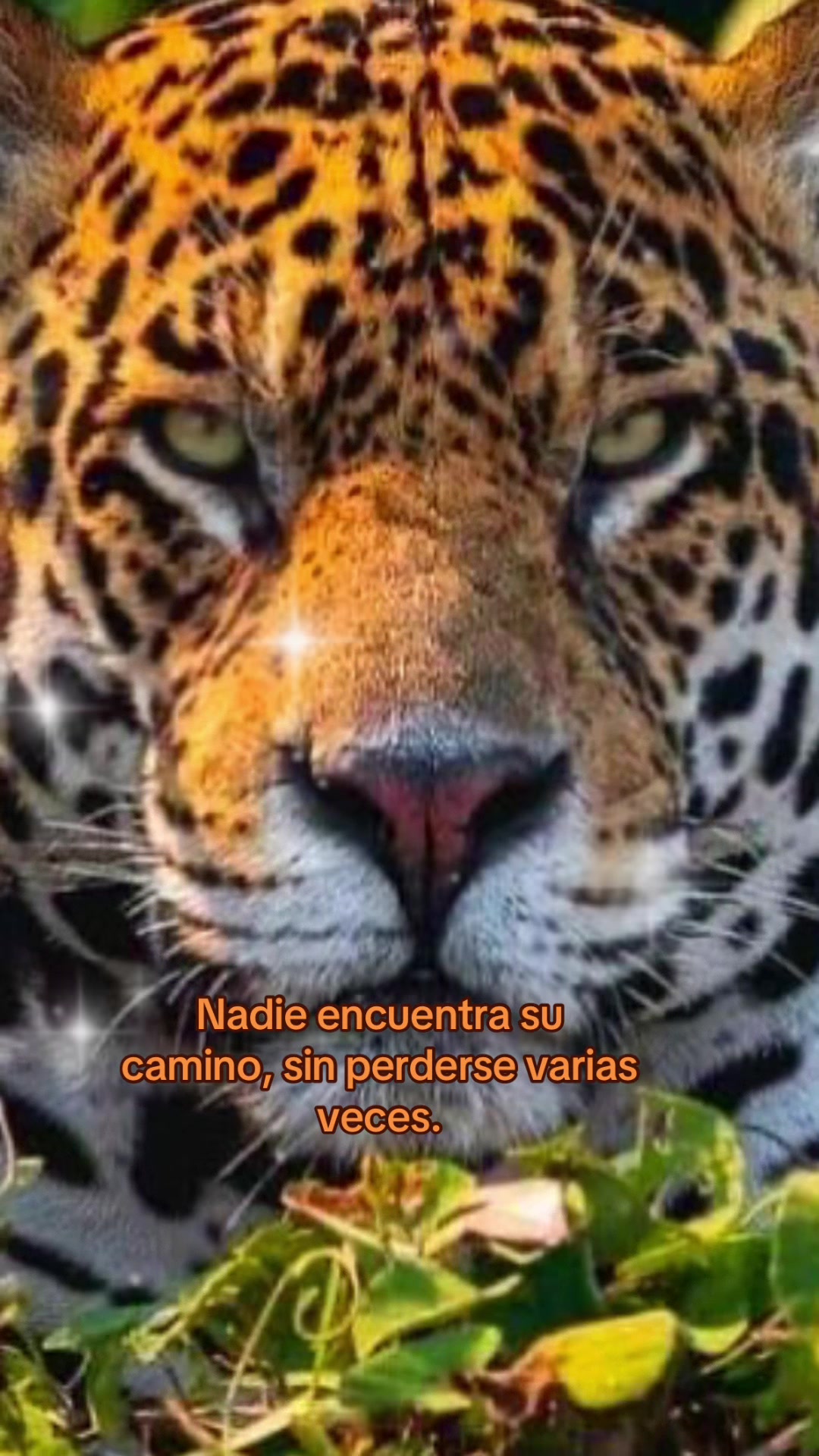 @Andy_saranj&eacute;