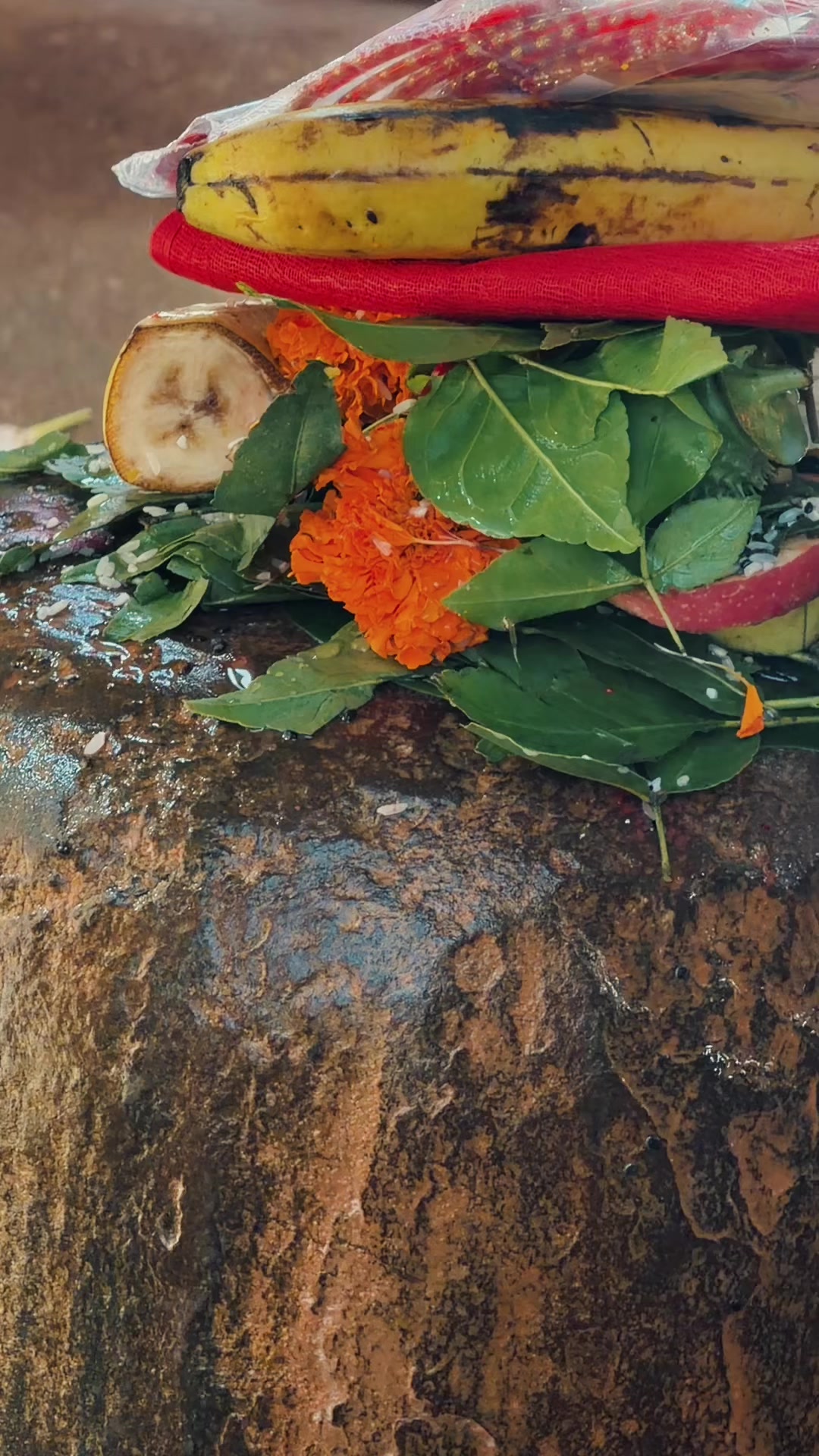 @🧿🕊️🇳🇵🧿