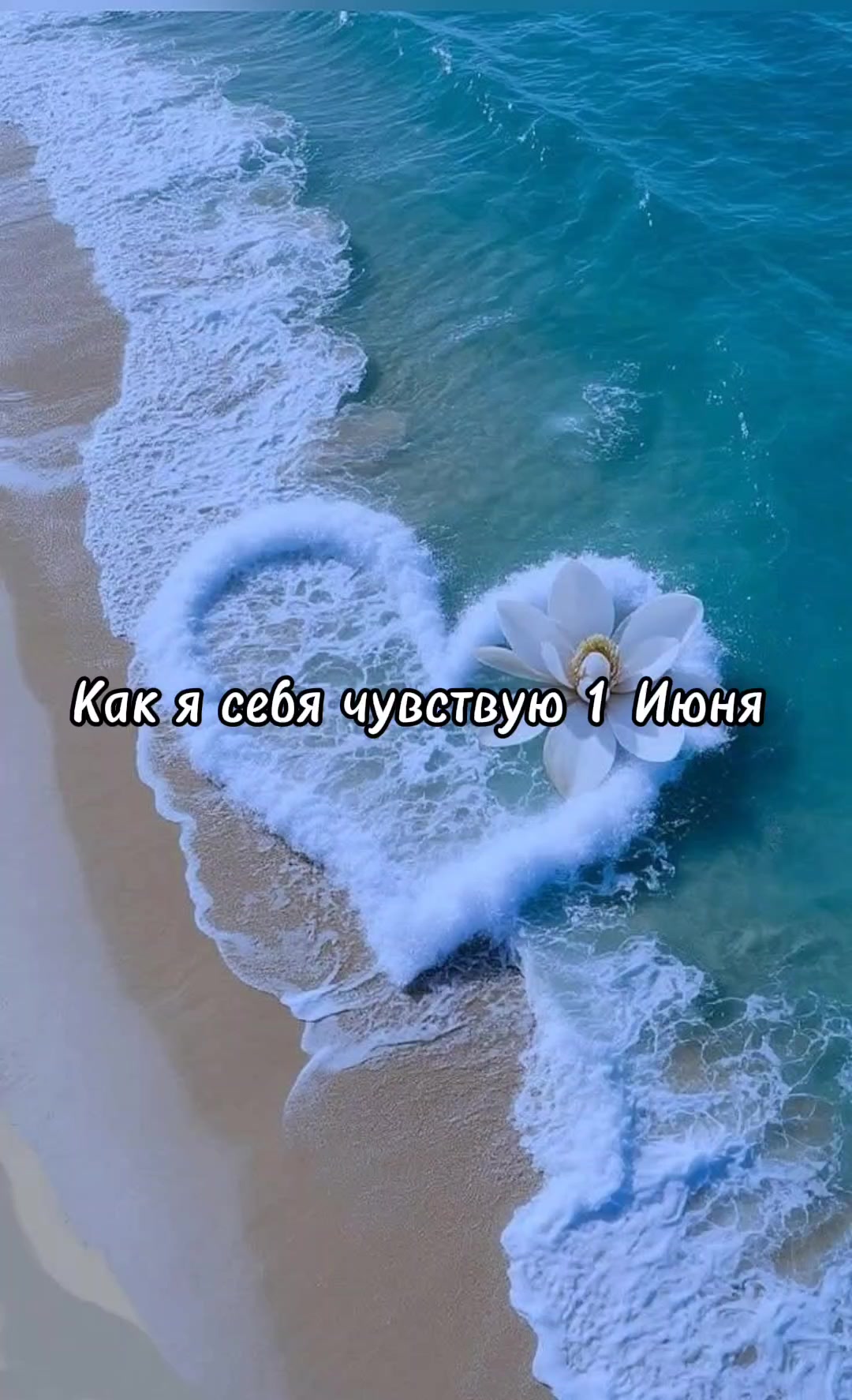 @Cat🐱