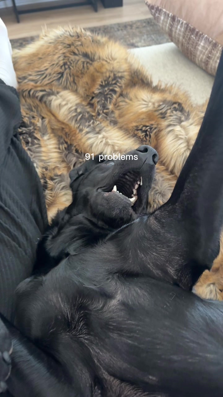 @ghostblacklab