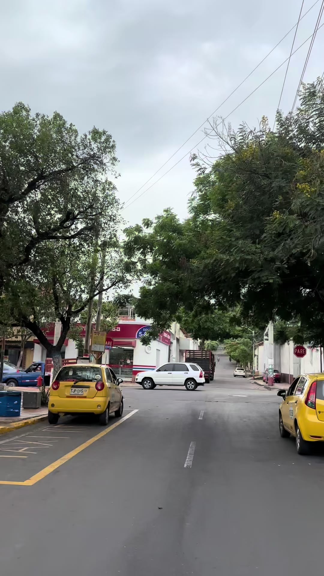 @Cejas | pesta&ntilde;as C&uacute;cuta