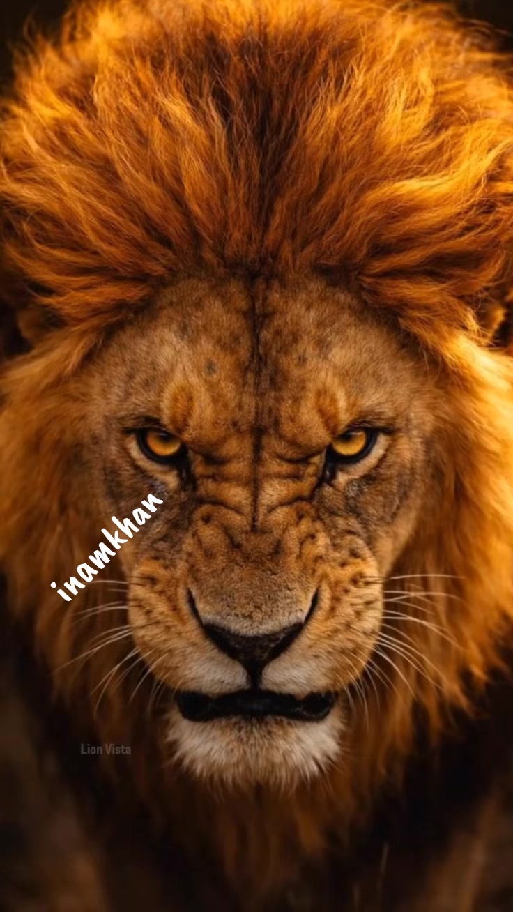 @ENAAM KHAN🤲✨️