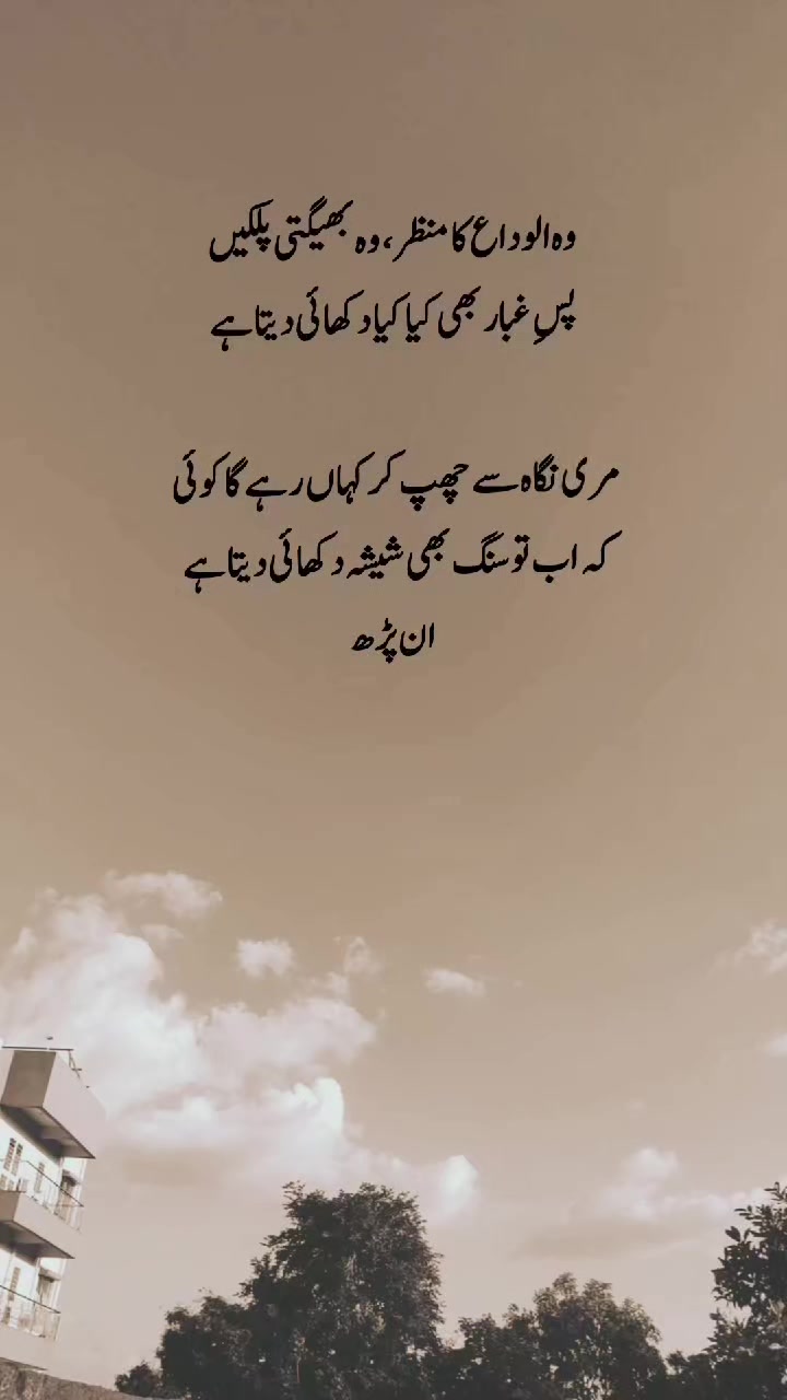 @ان پڑھ 🍁