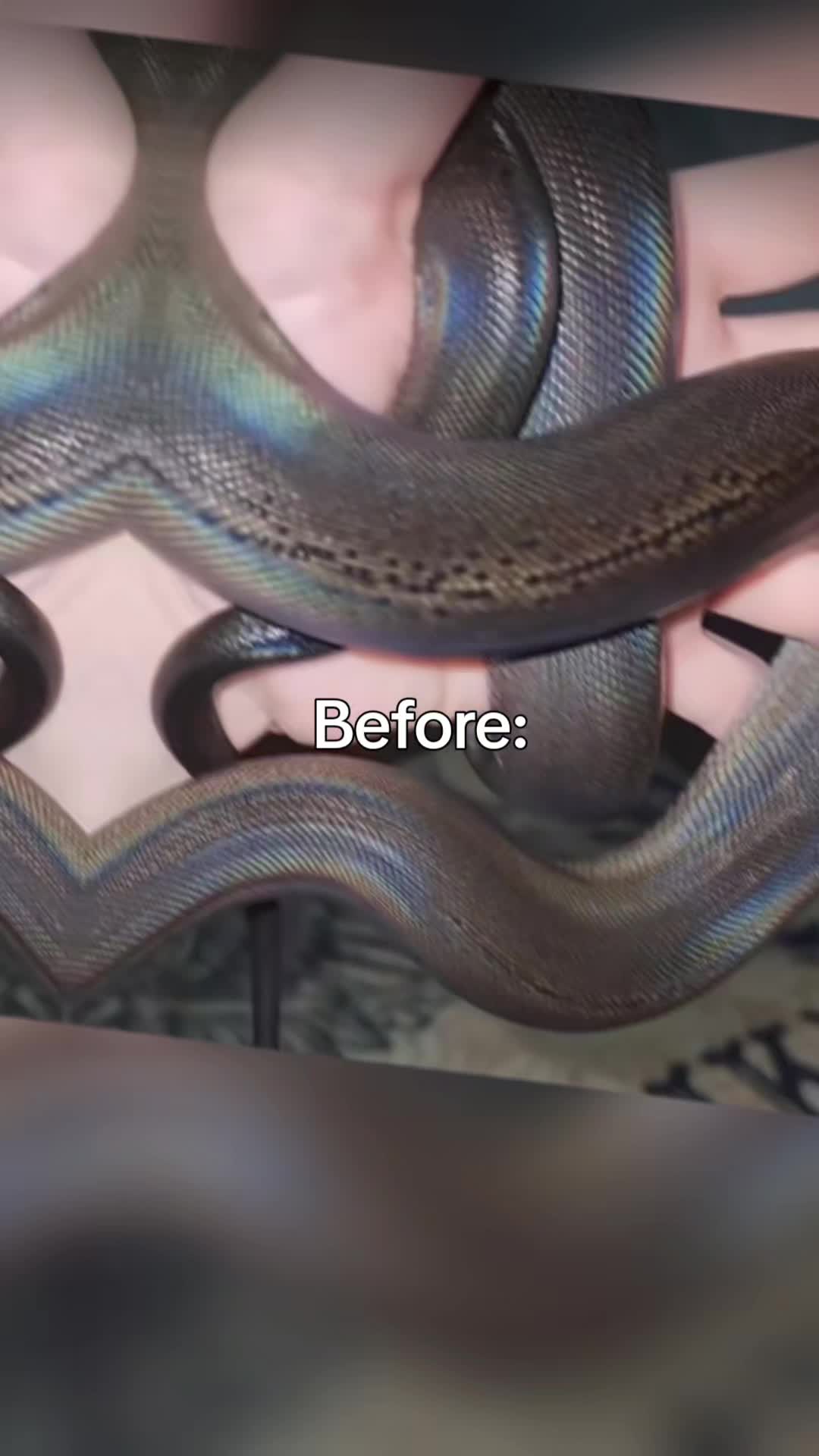 @RiddlesTheRetic