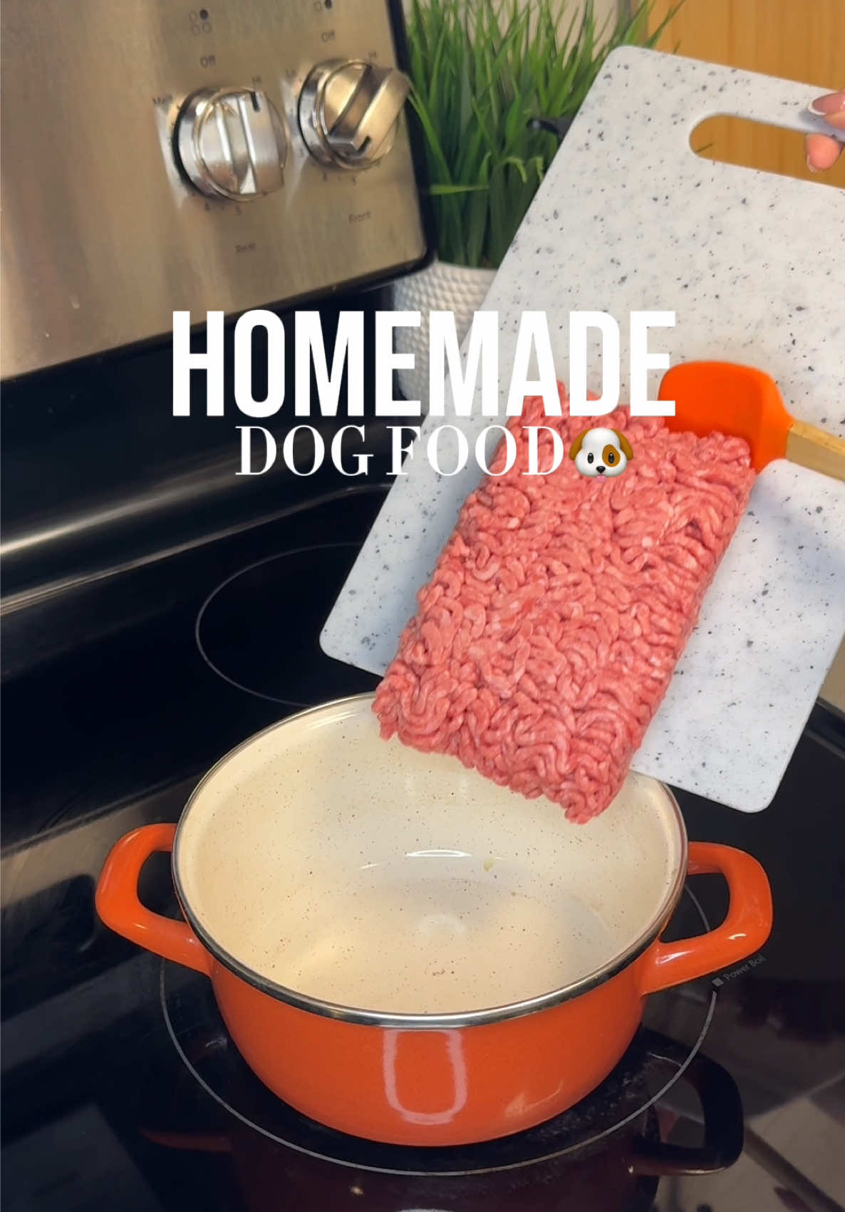 @Daily Dog Bites