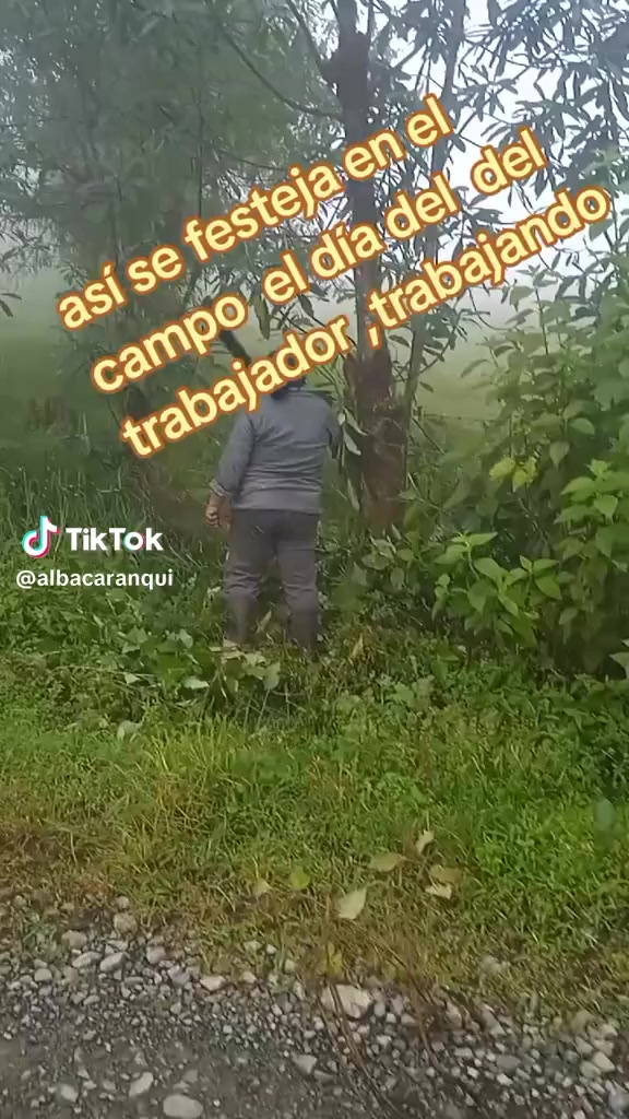 @Mariana Guzman