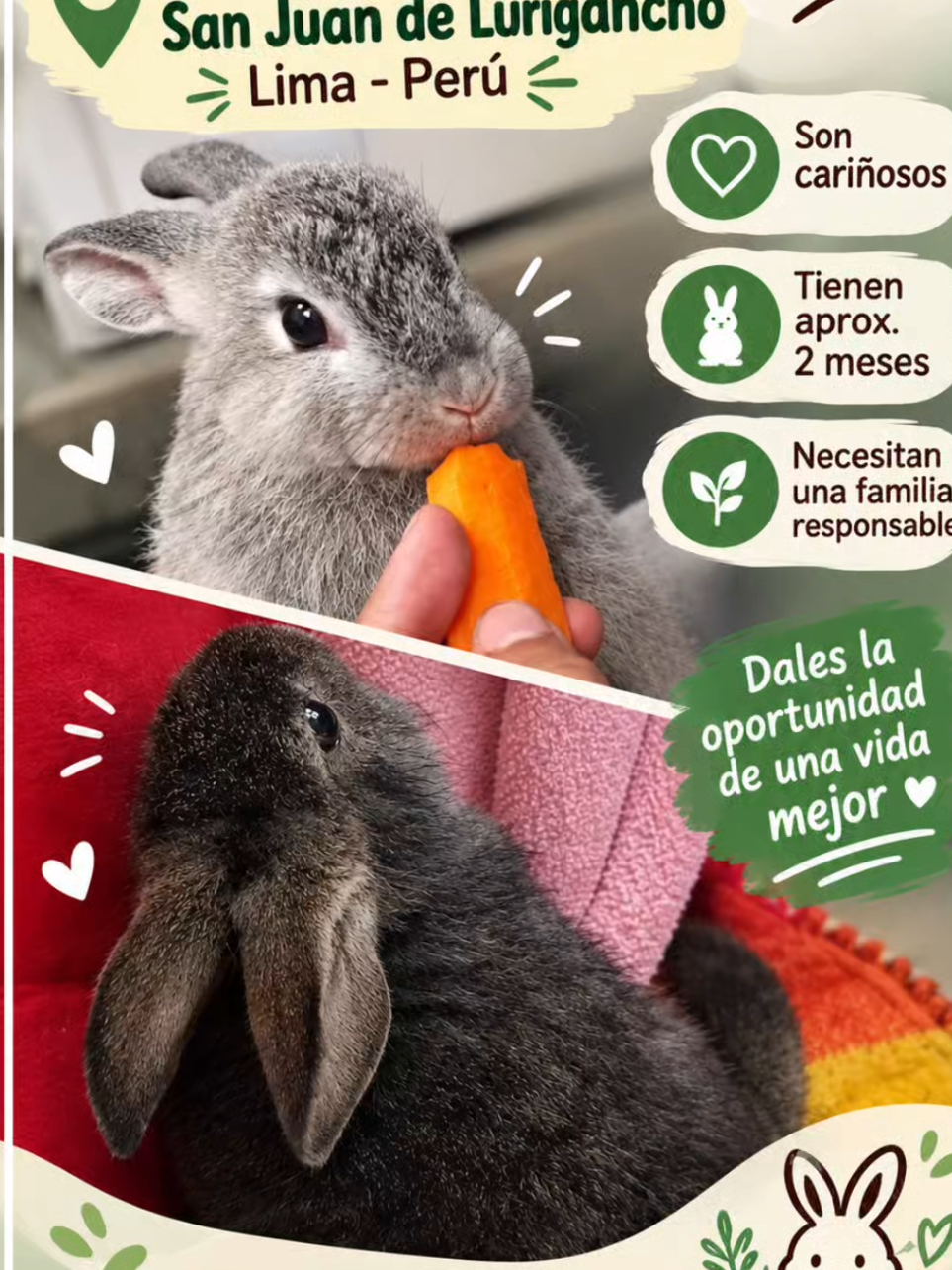 @Perritos Voladores