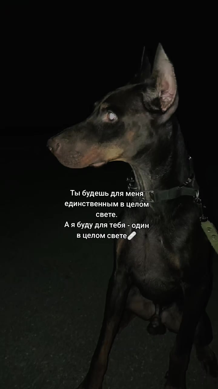 @Tumanova_Daxa🗿