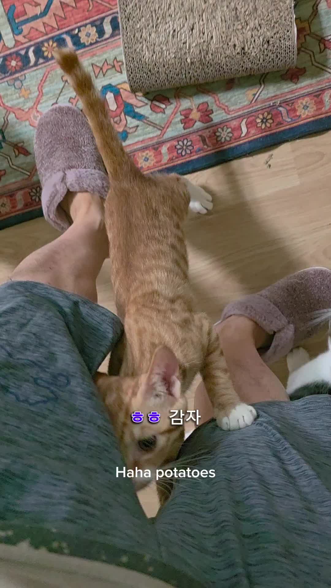 @๊ฐ์์๋น ๐๐๐