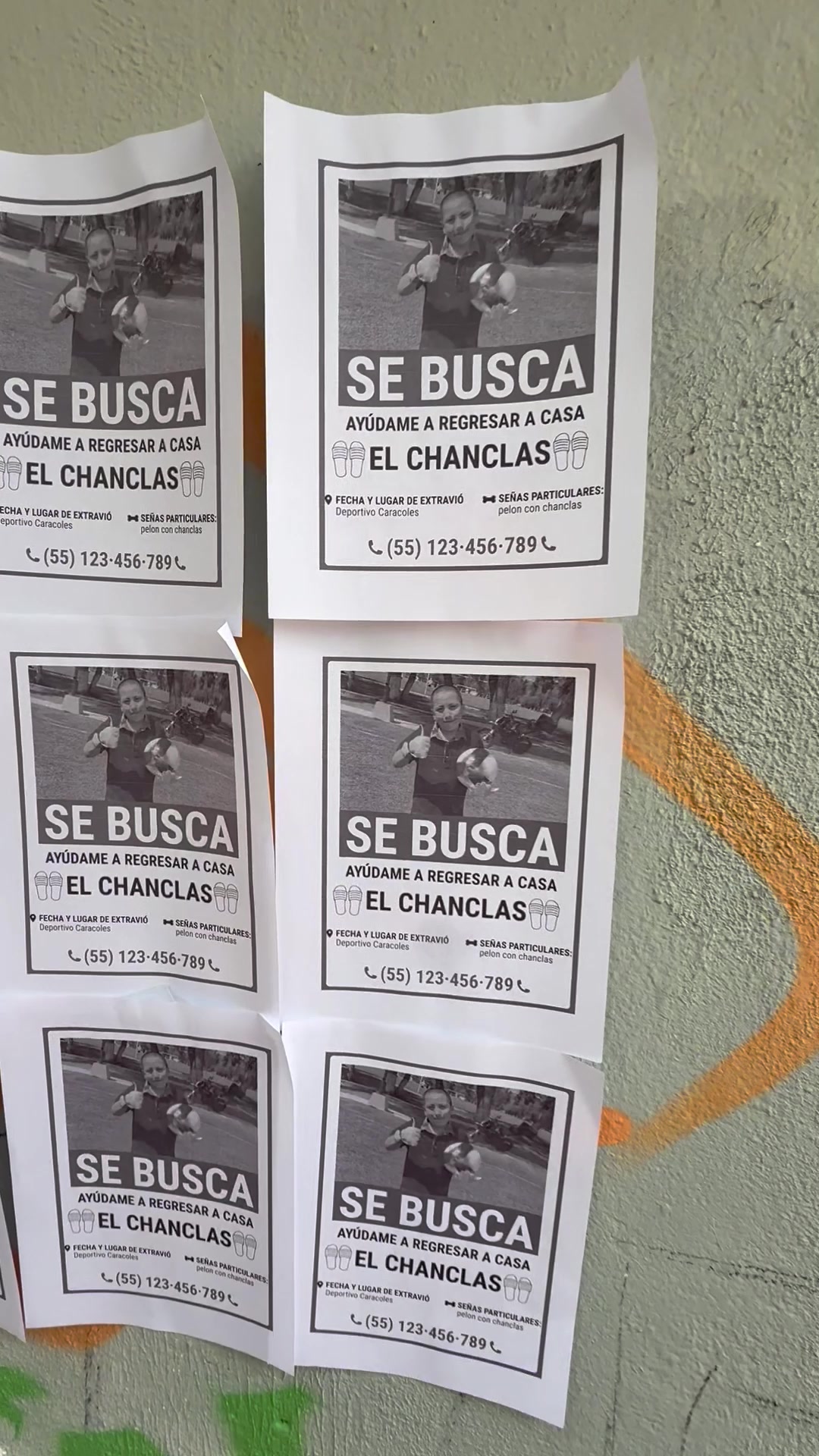 @el toci