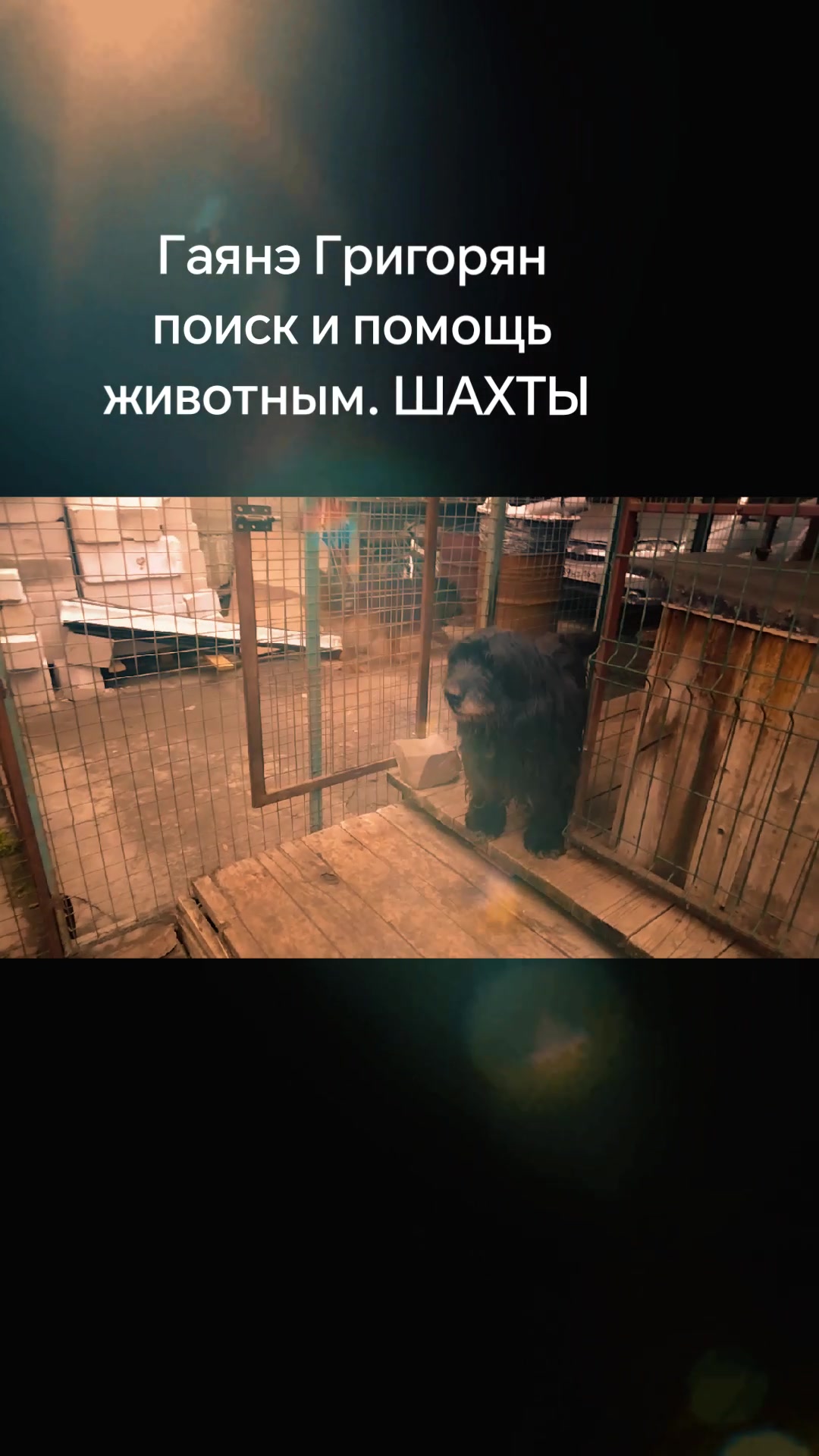 @Гаянэ Григорян