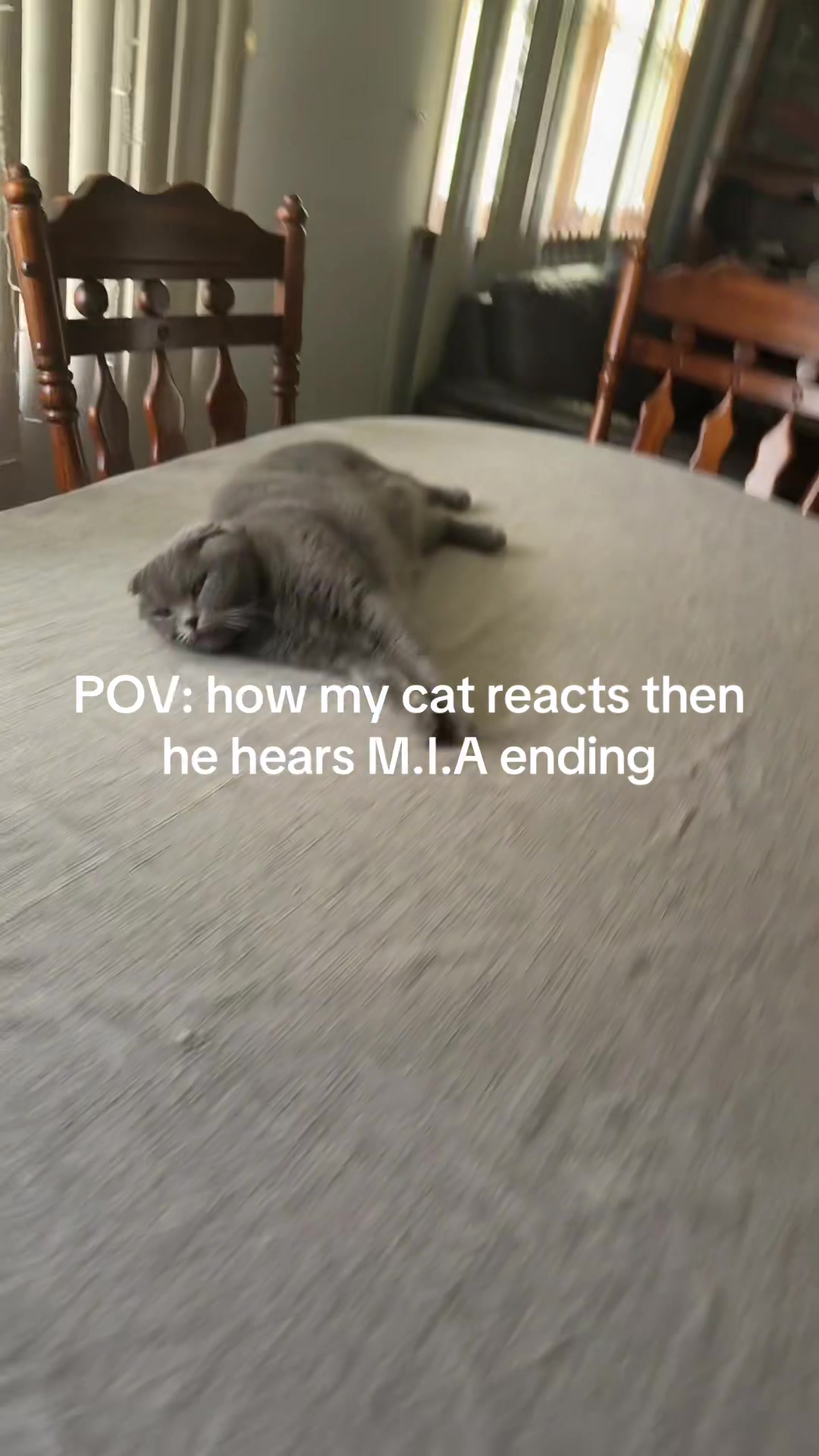 @ALINA