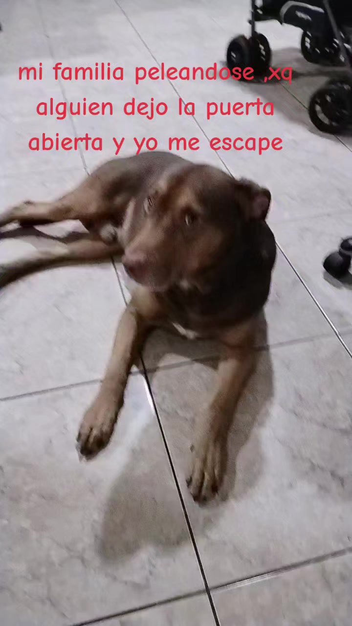 @Raquel Abanto