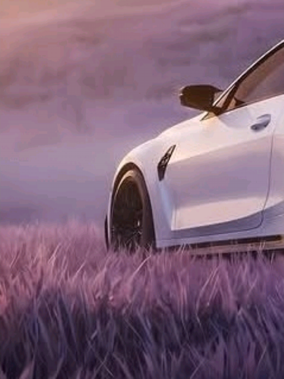 @Fassyyy.