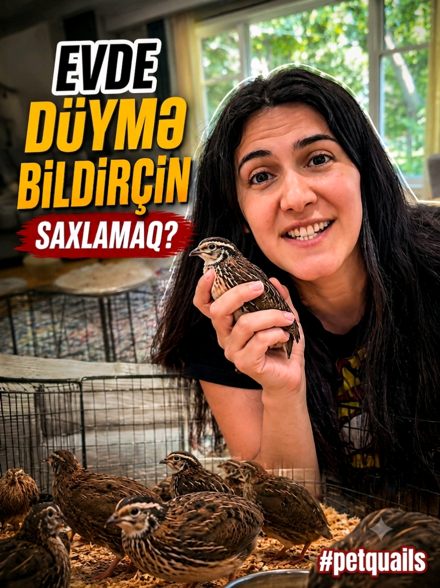 @Rolan Aysel 🇨🇦🇦🇿