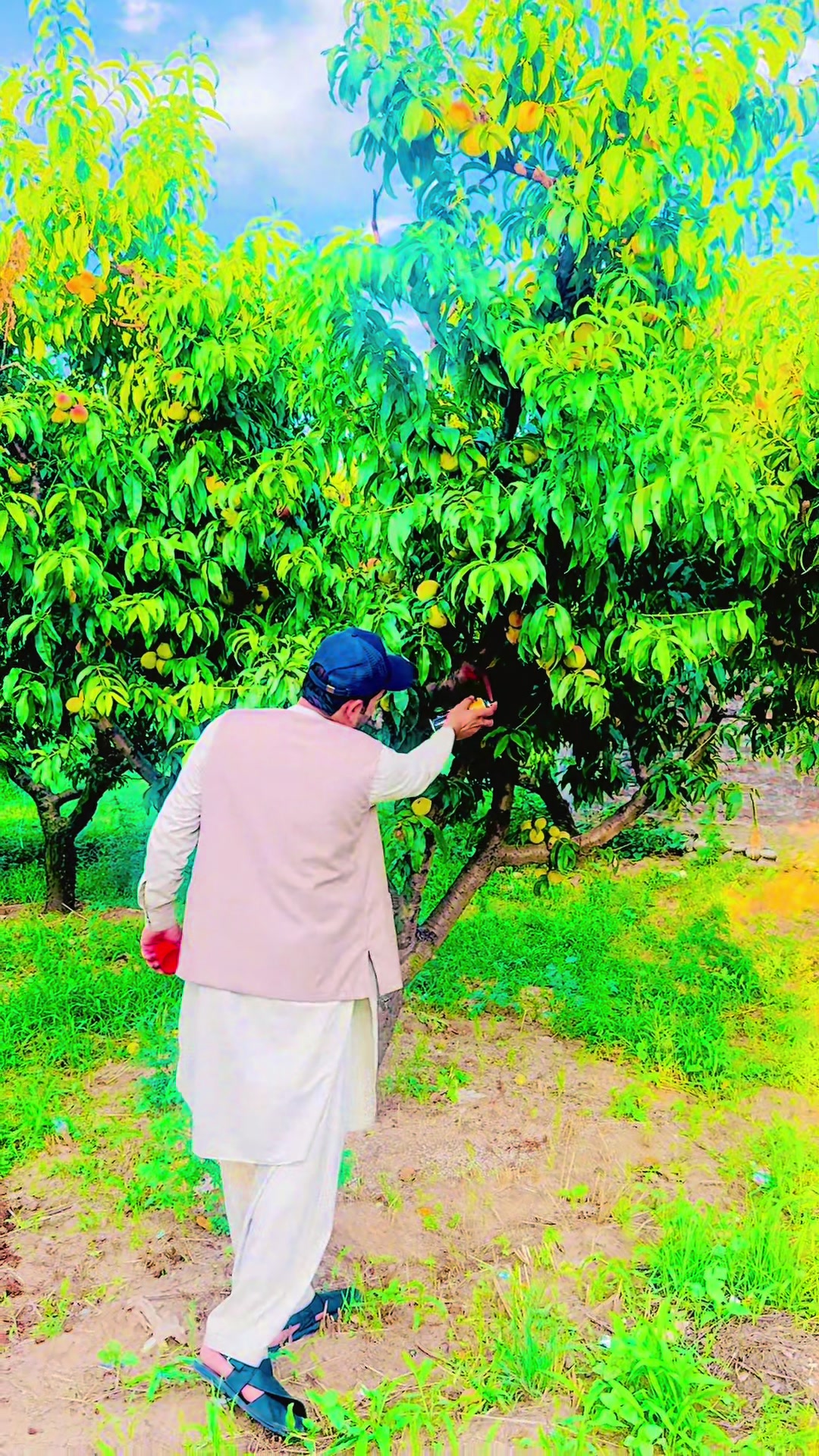 @Nasar 03429621472 rabeta name