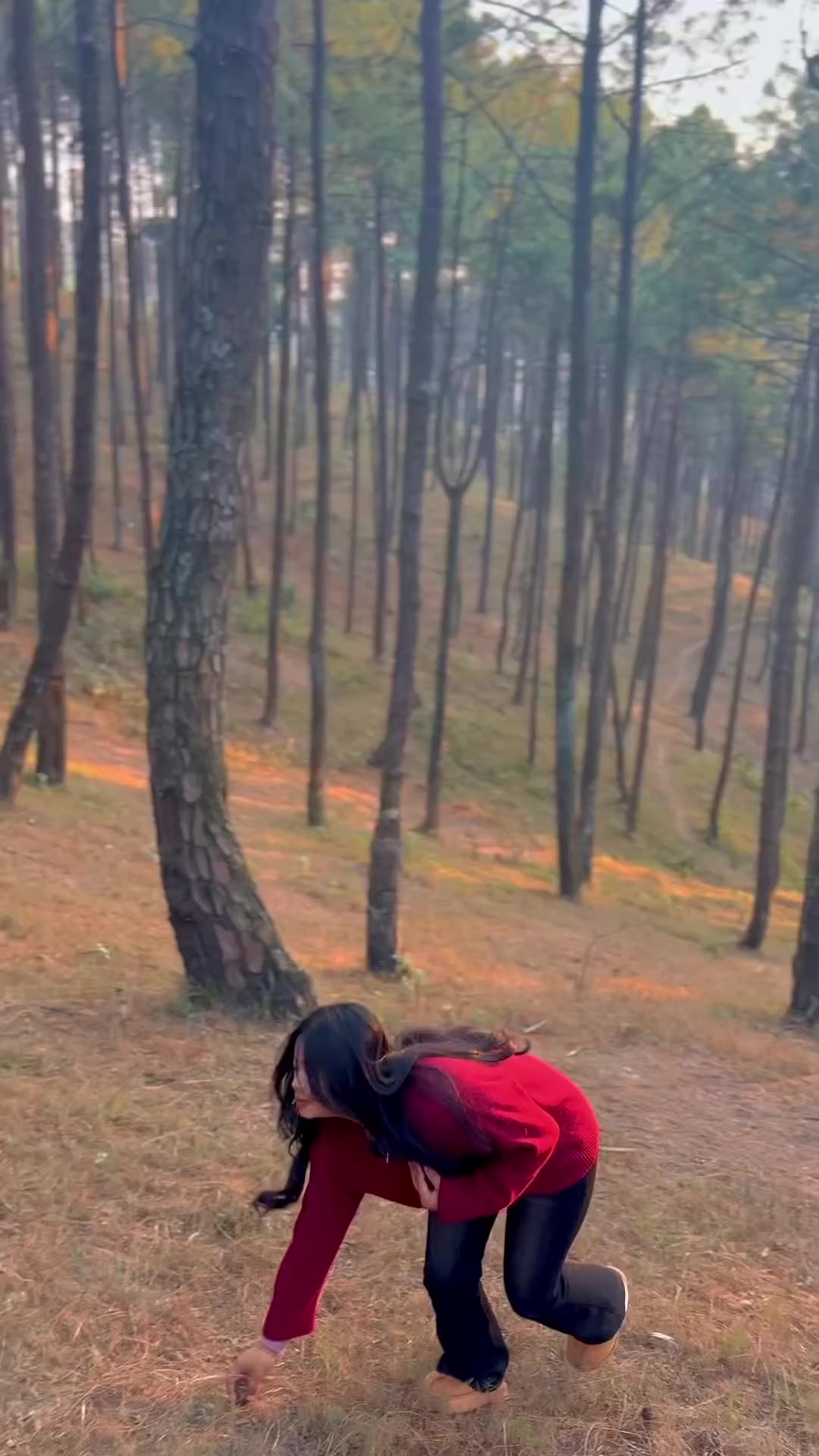 @🦚Dâhït Sãmjhäñå🦚❤️