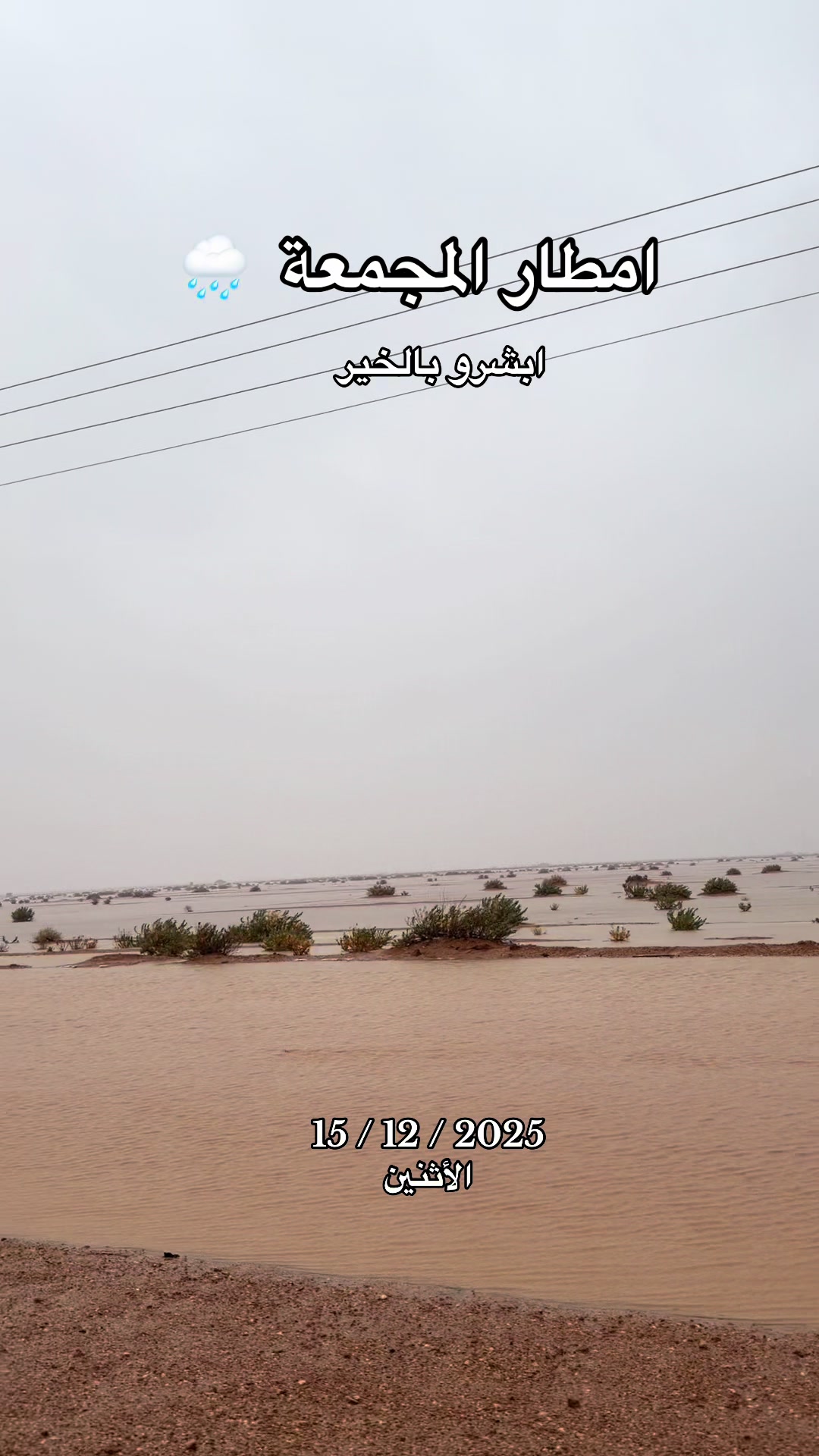 @ترند المجمعة 🌴