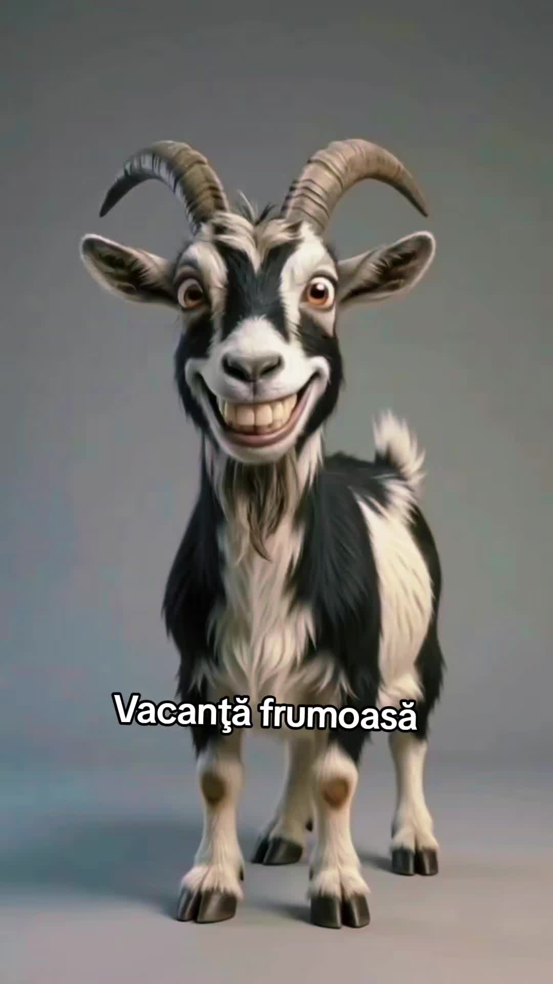 @Olguța