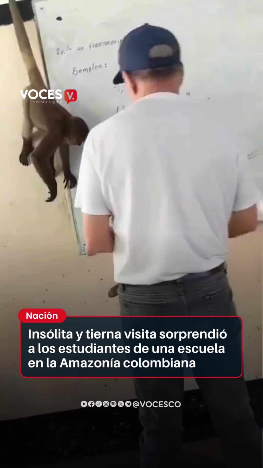 @Voces