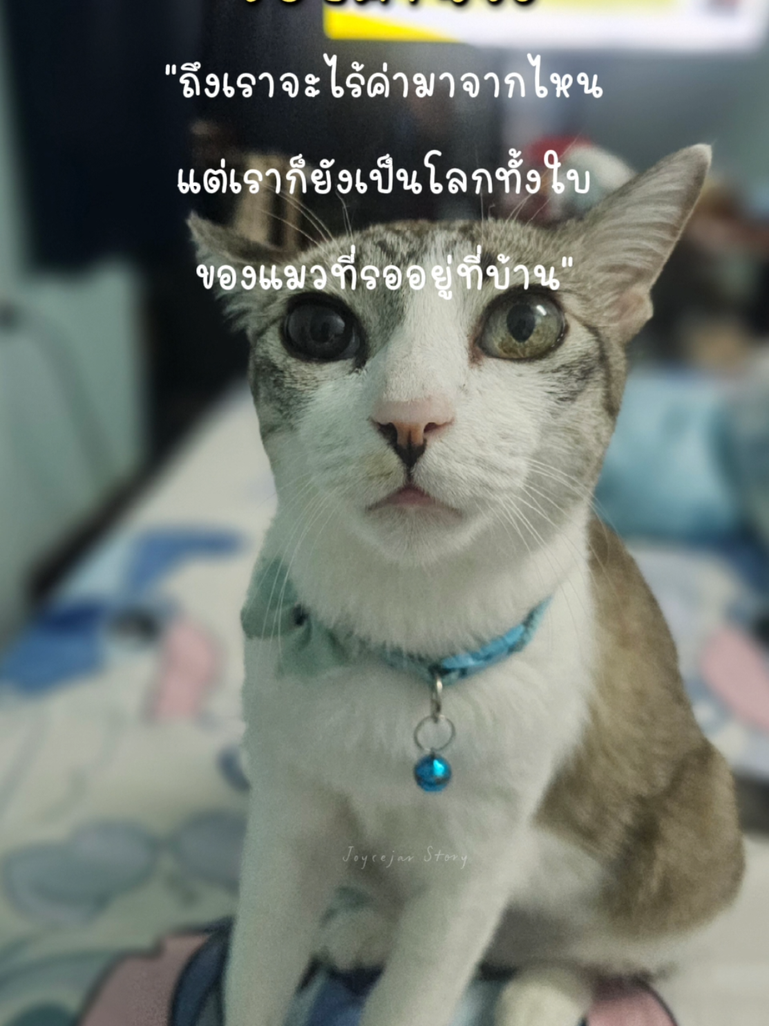 @FongChan