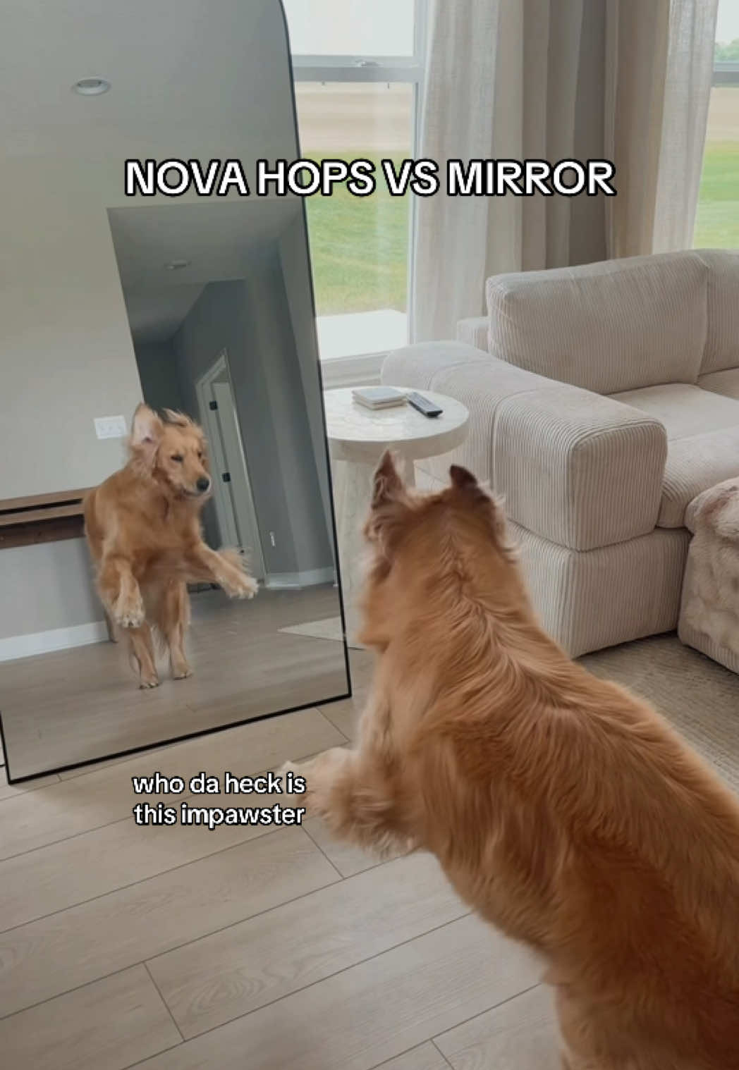 @novathegoldenn