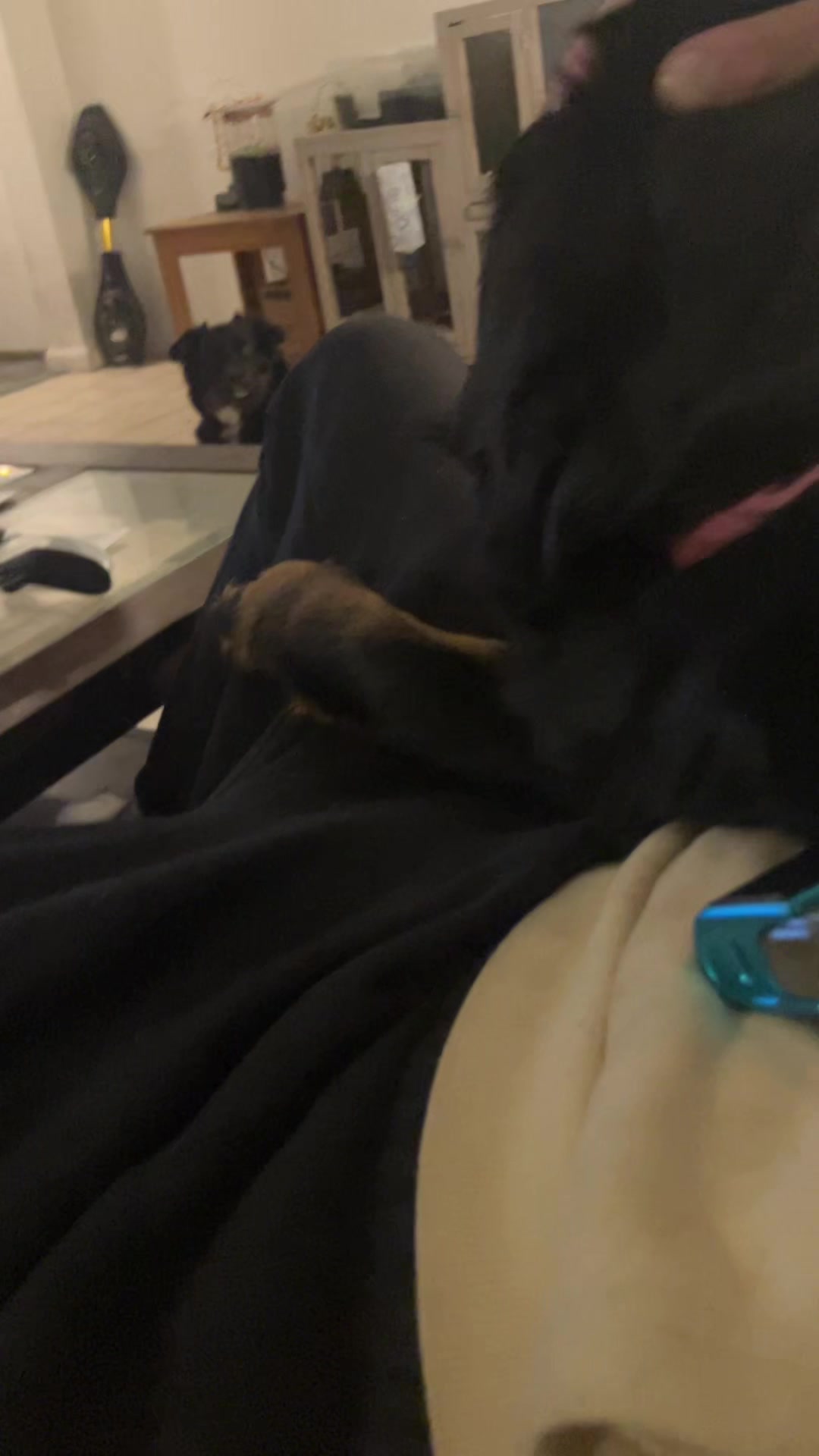 @kurtizpareja