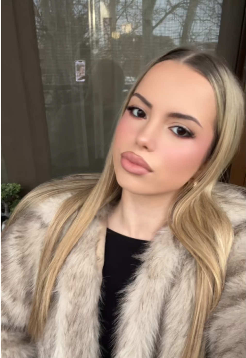 @jovanovict2
