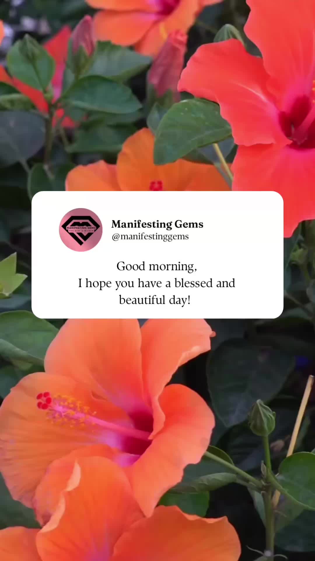 @Manifesting Gems