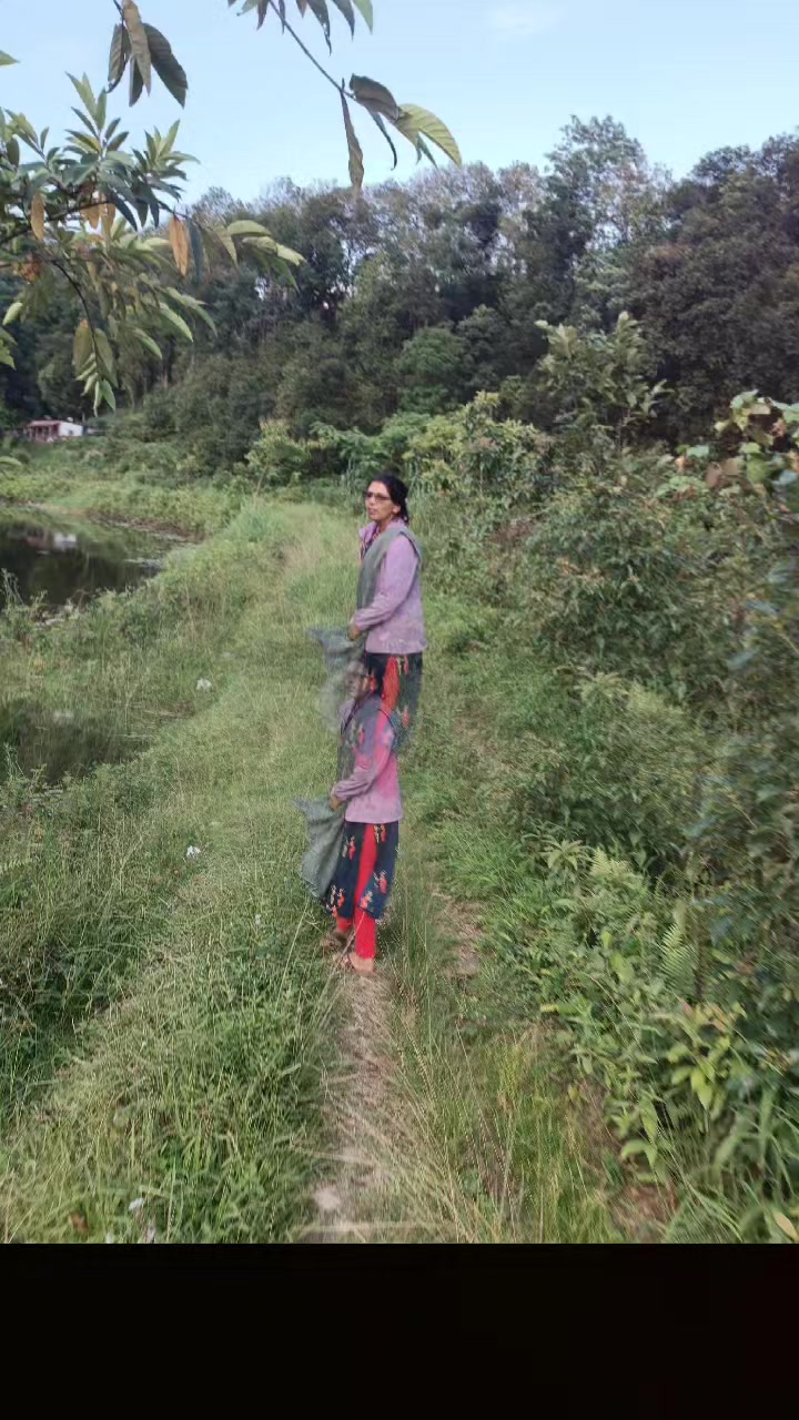 @ramakoirala
