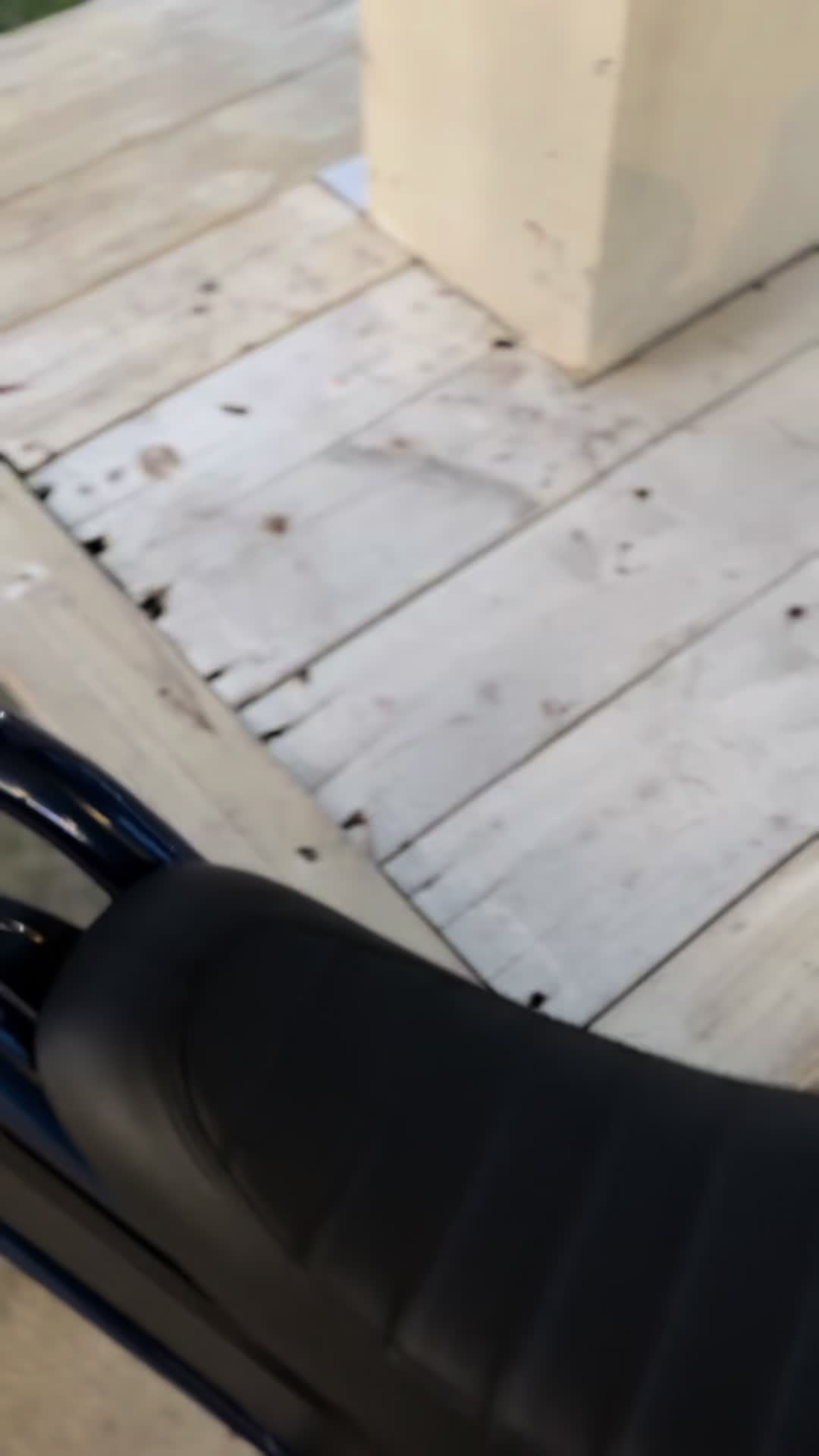 @Ryan🦭