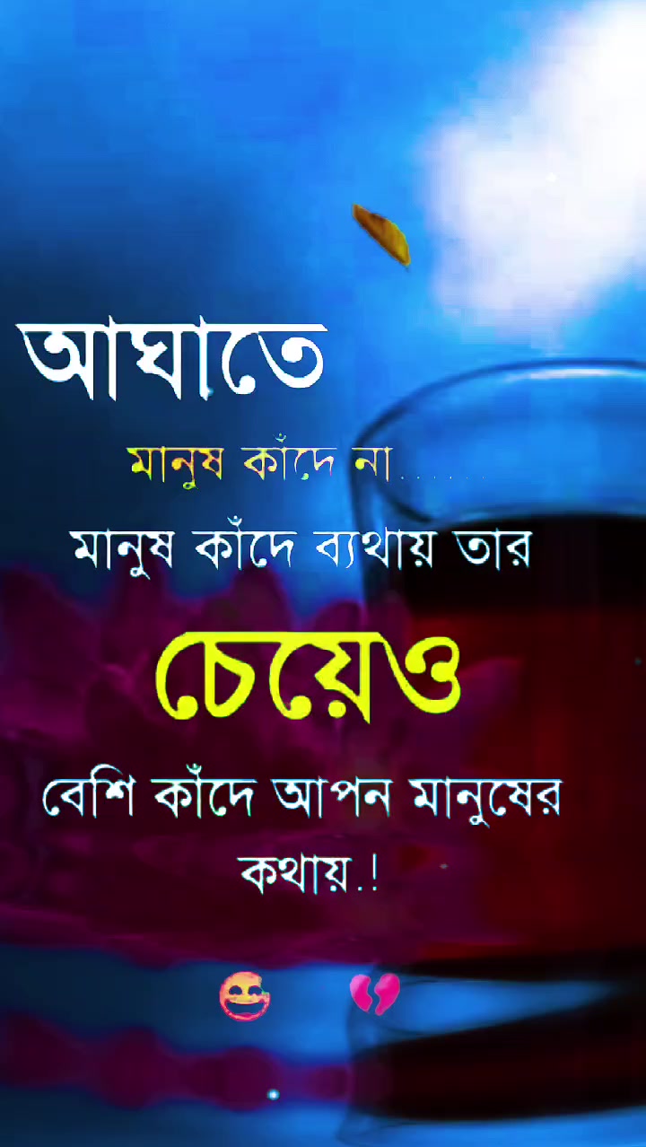 @user8123701182915. jan pakhi