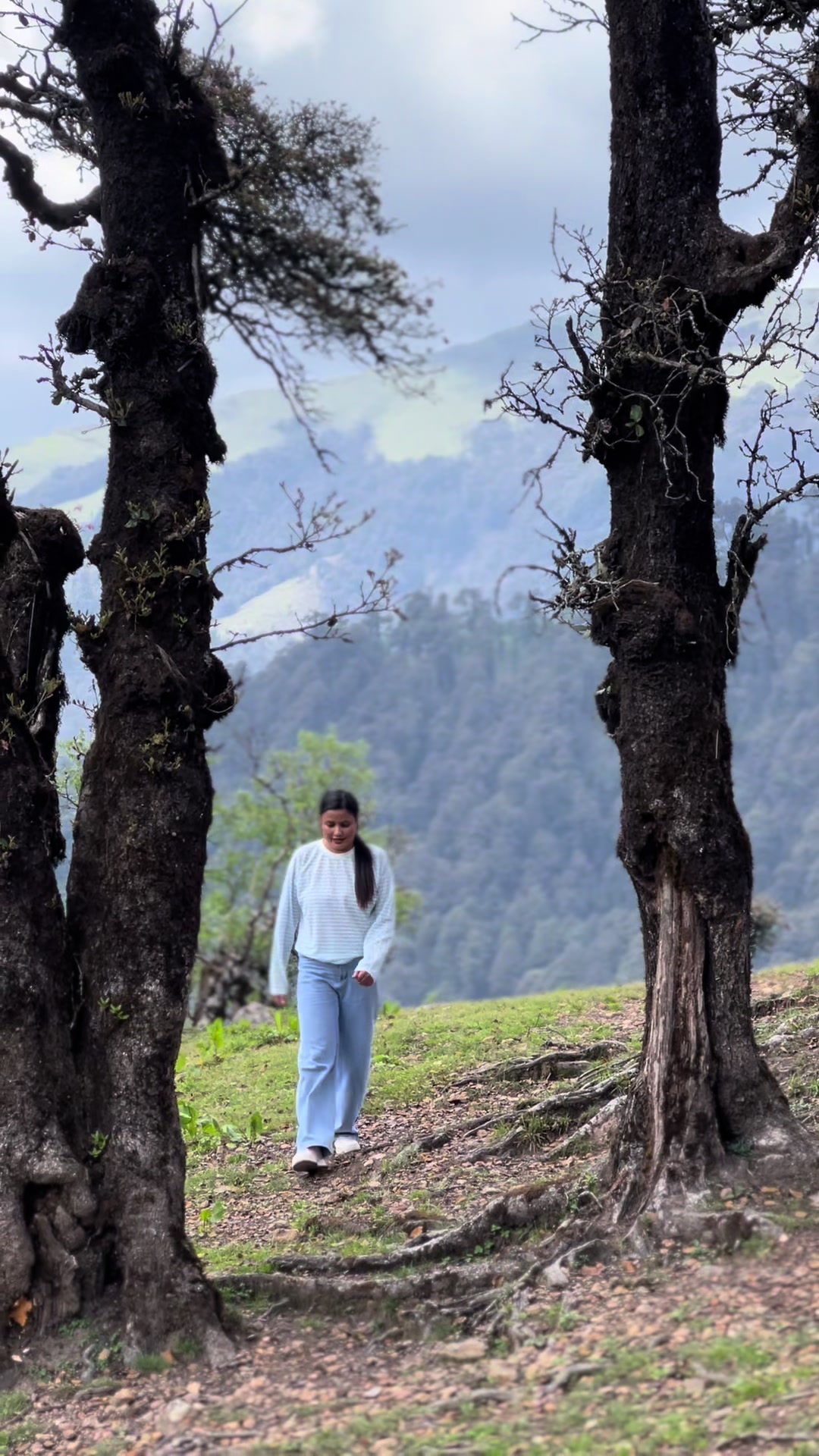 @पबित्रा सापकोटा