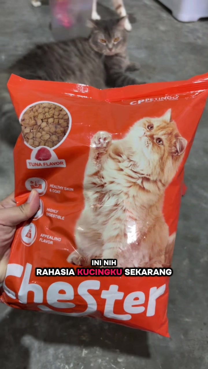 @BUMI ANABUL😺